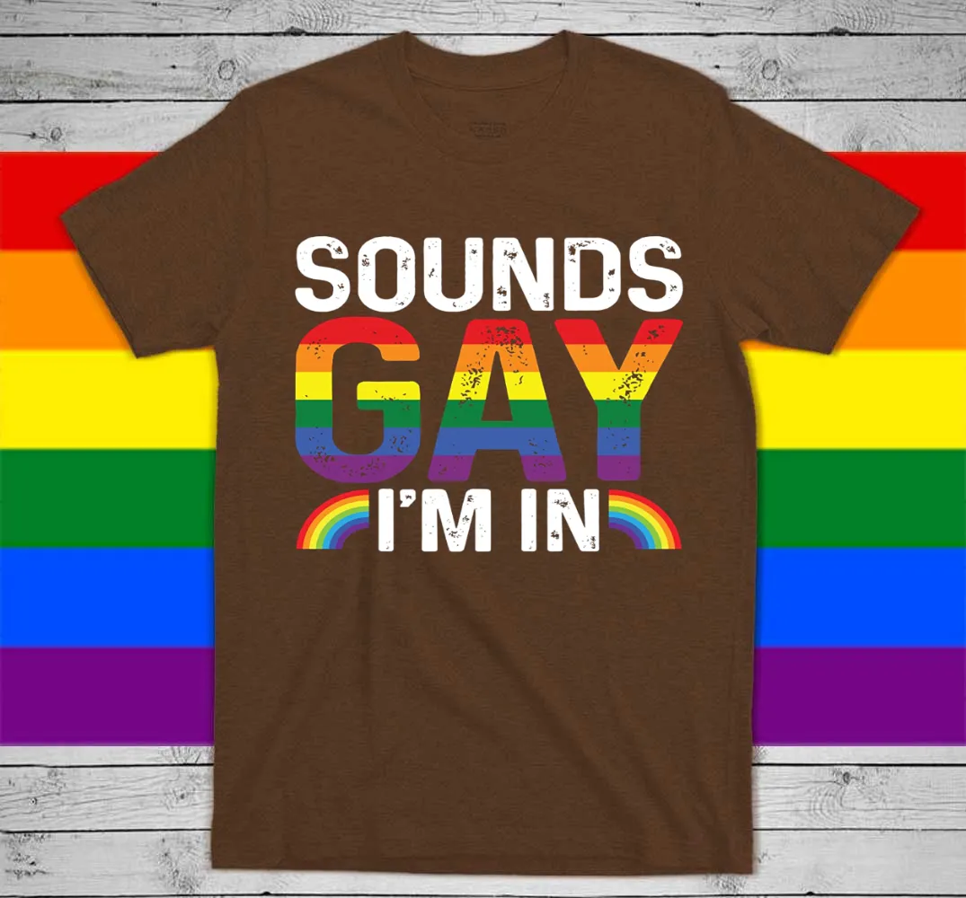 Rainbow T Shirt, Sounds Gay I'm In, LGBT Gay, Pride Rainbow Shirt