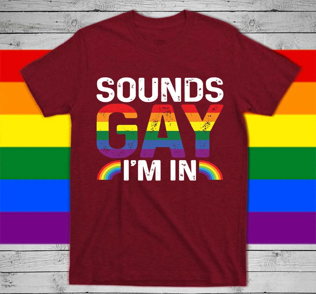 Rainbow T Shirt, Sounds Gay I'm In, LGBT Gay, Pride Rainbow Shirt
